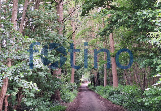Natuur